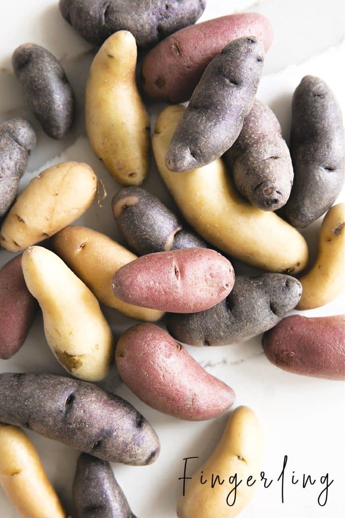 A bunch of muliti-colored fingerling potatoes