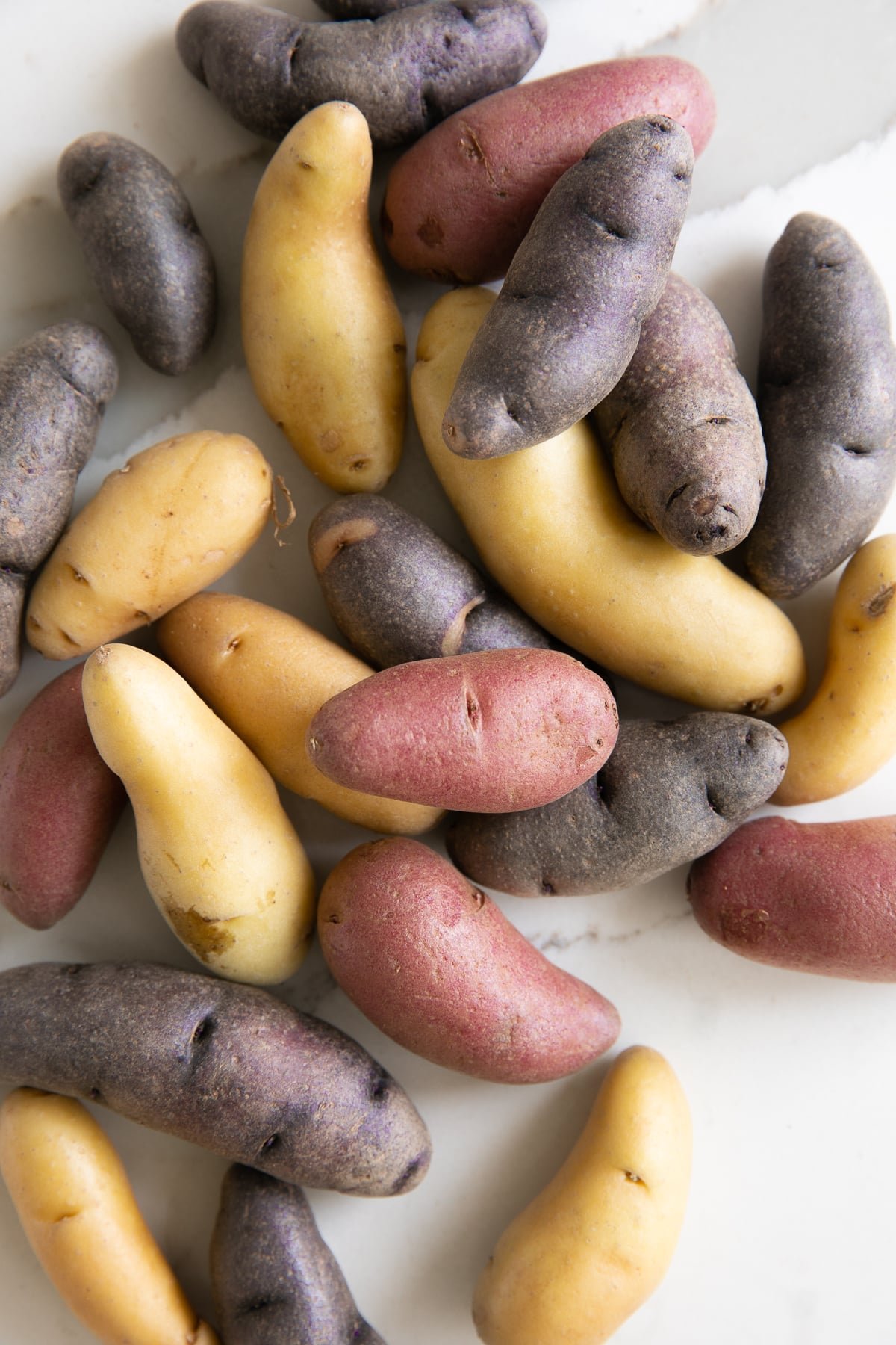 Multi-colored fingerling potatoes.