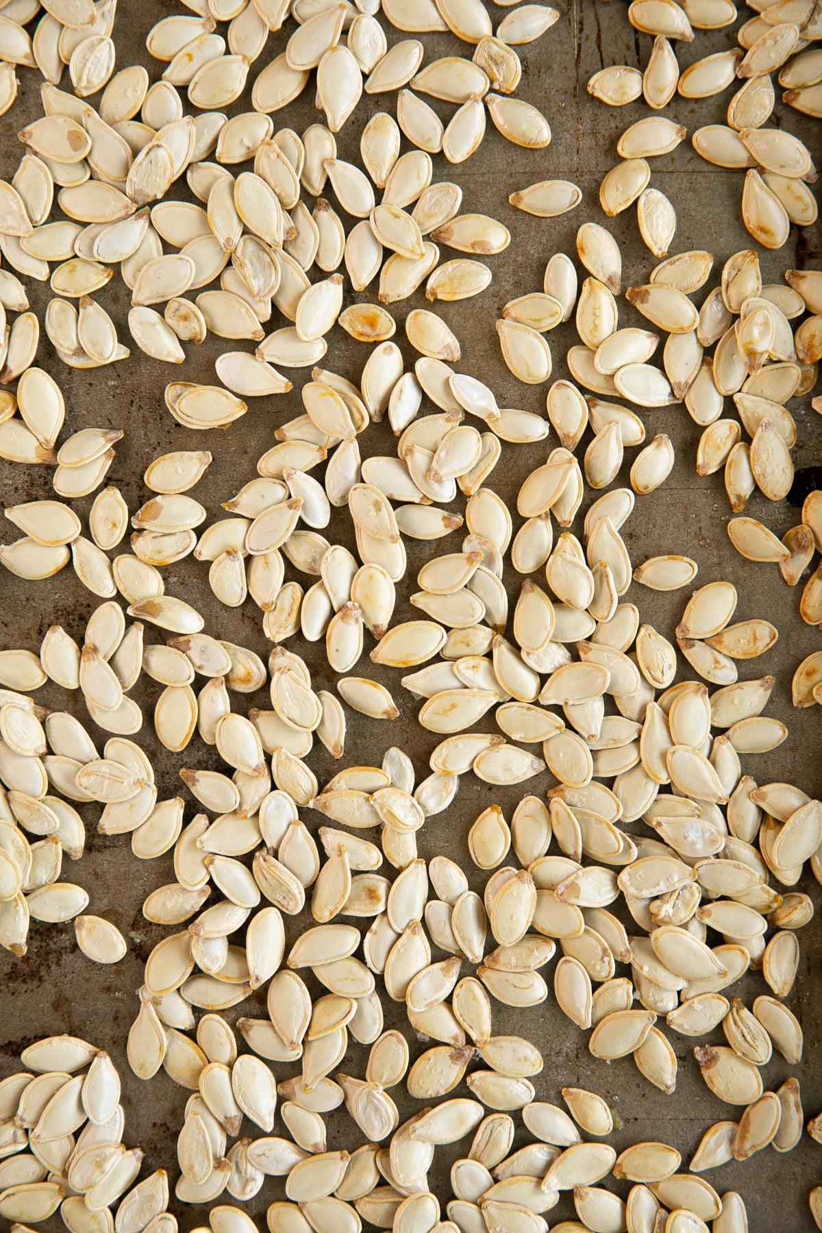 Large baking sheet filled with roasted pumpkin seeds.