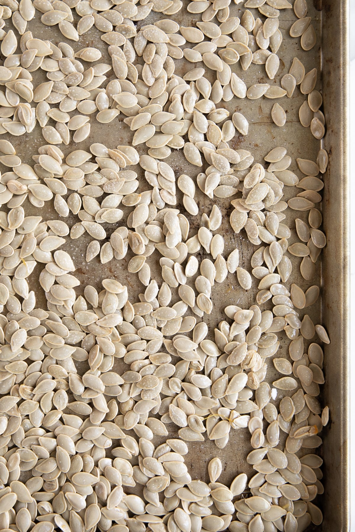 Pumpkin seeds before baking.