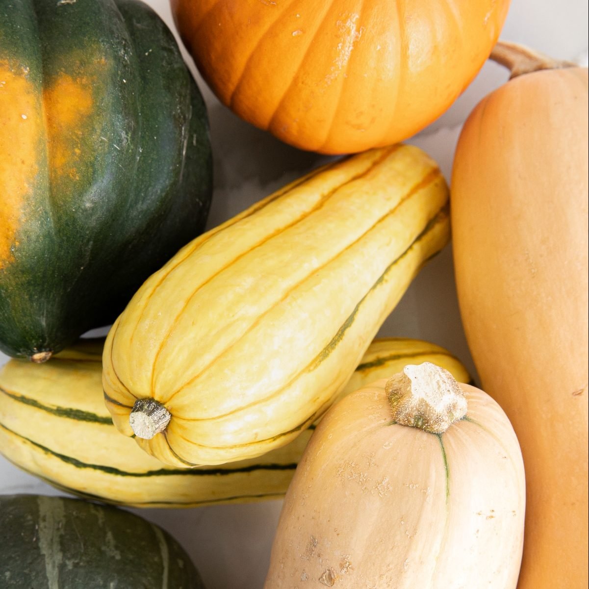How Many Types Of Squash