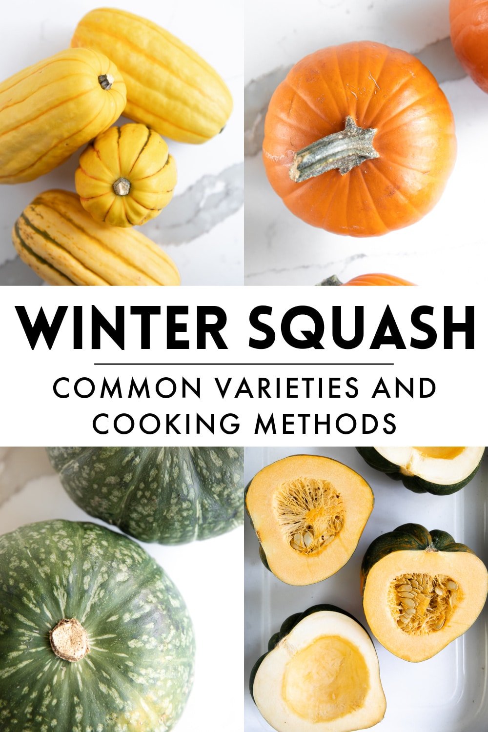 Types Of Winter Squash A Guide To Winter Squash Varieties And Cooking Methods The Forked Spoon