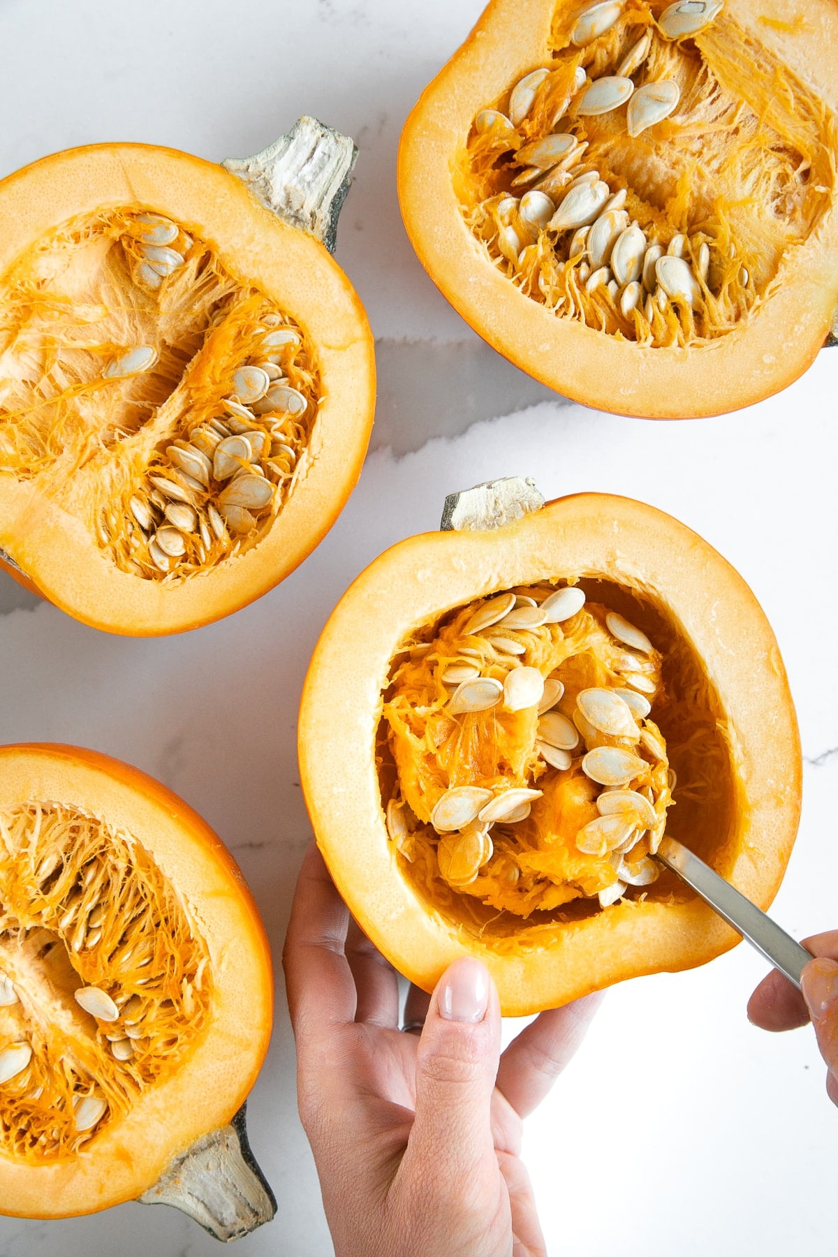 Overhead view of several halved sugar pumpkins with seeds and stringy pulp inside as a metal spoon scoops the seeds from one pumpkin held by hand.