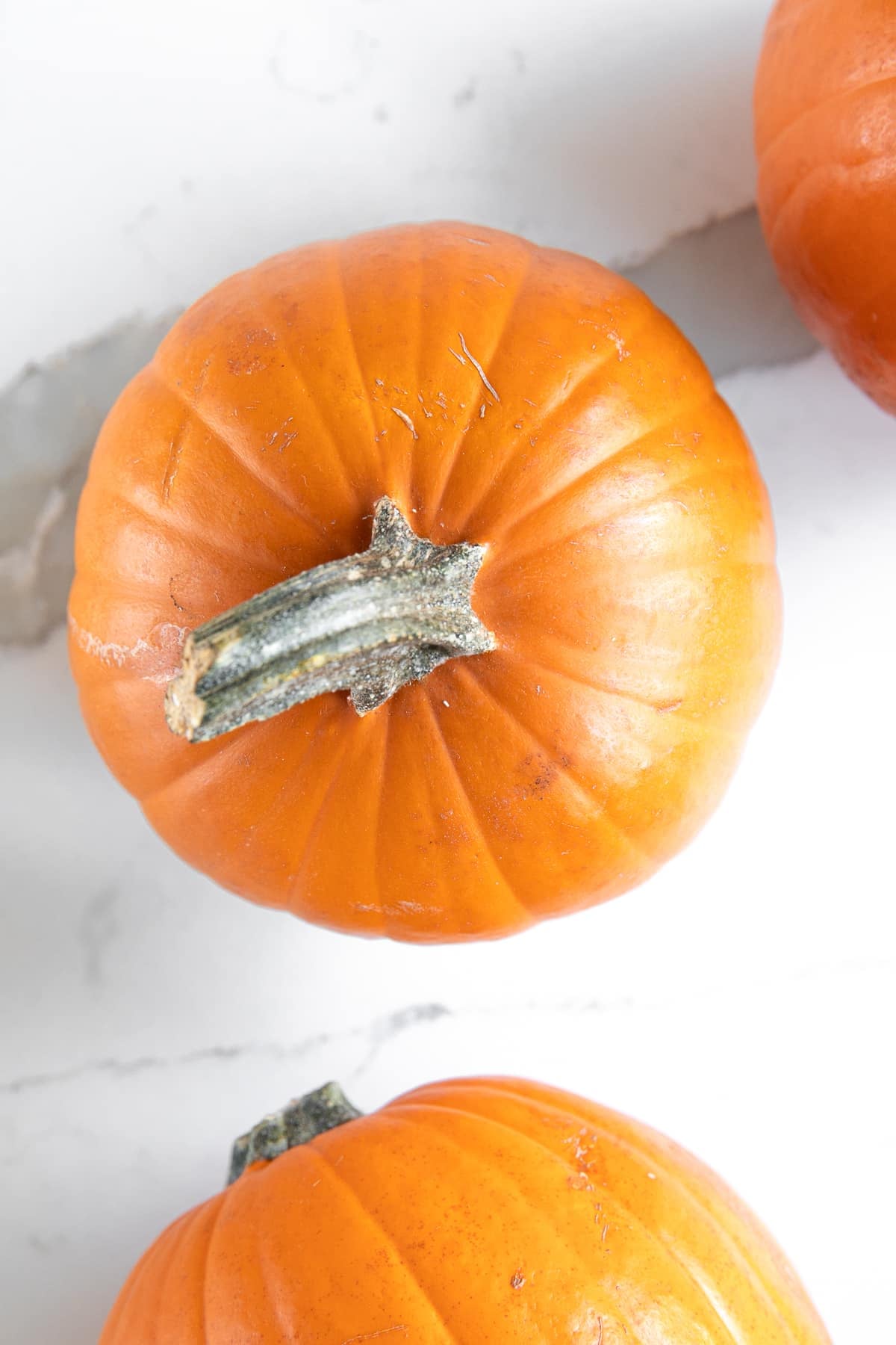 Overhead view of several small orange sugar pumpkins with gray-green stems arranged on a white marble countertop.