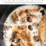 Creamy Mushroom Chicken Recipe Pinterest Pin Collage Image
