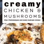 Creamy Mushroom Chicken Recipe Pinterest Pin Collage Image
