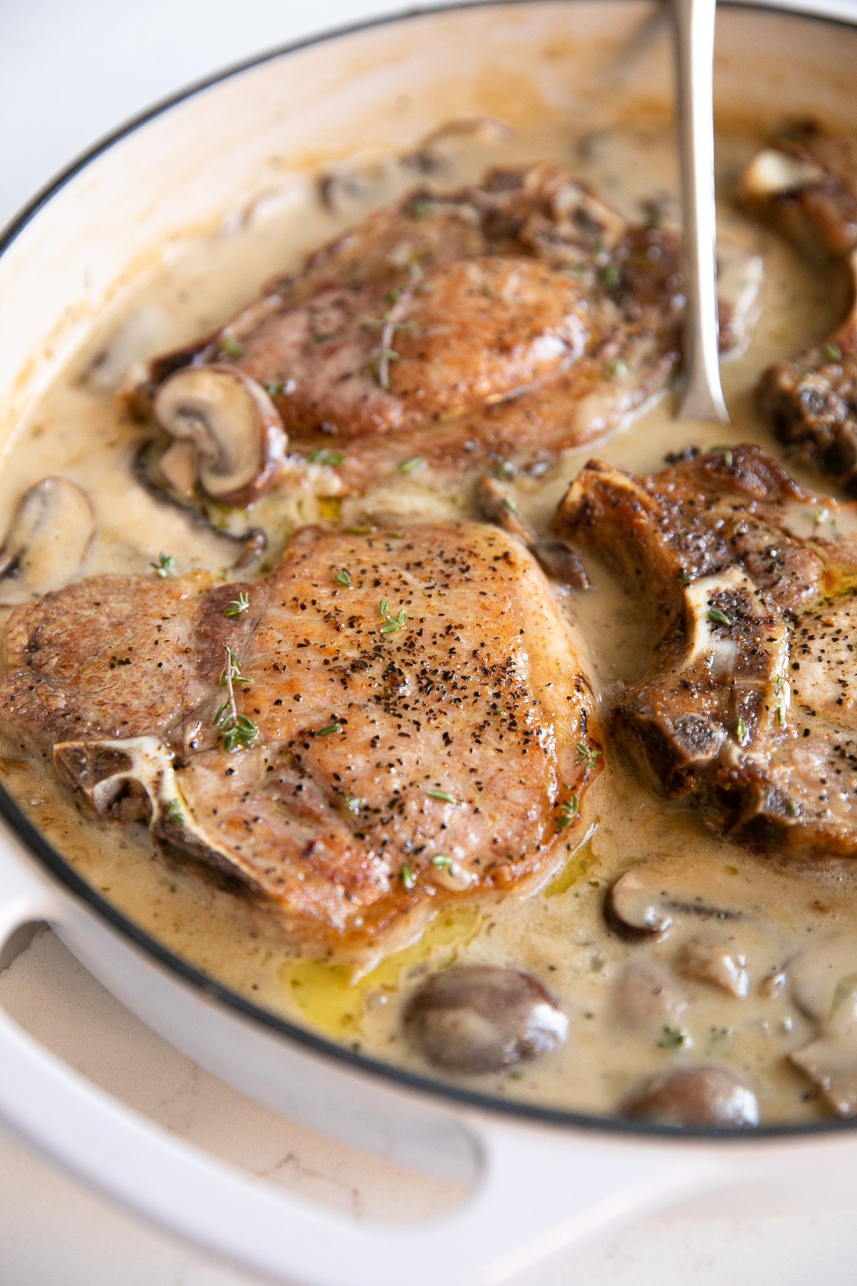 Image of a white ceramic pan filled with cooked bone-in pork chops simmering in creamy mushroom sauce.
