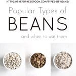 Types of beans Pinterest Pin Collage Image