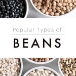Image of small ramekins filled with different types of dried beans