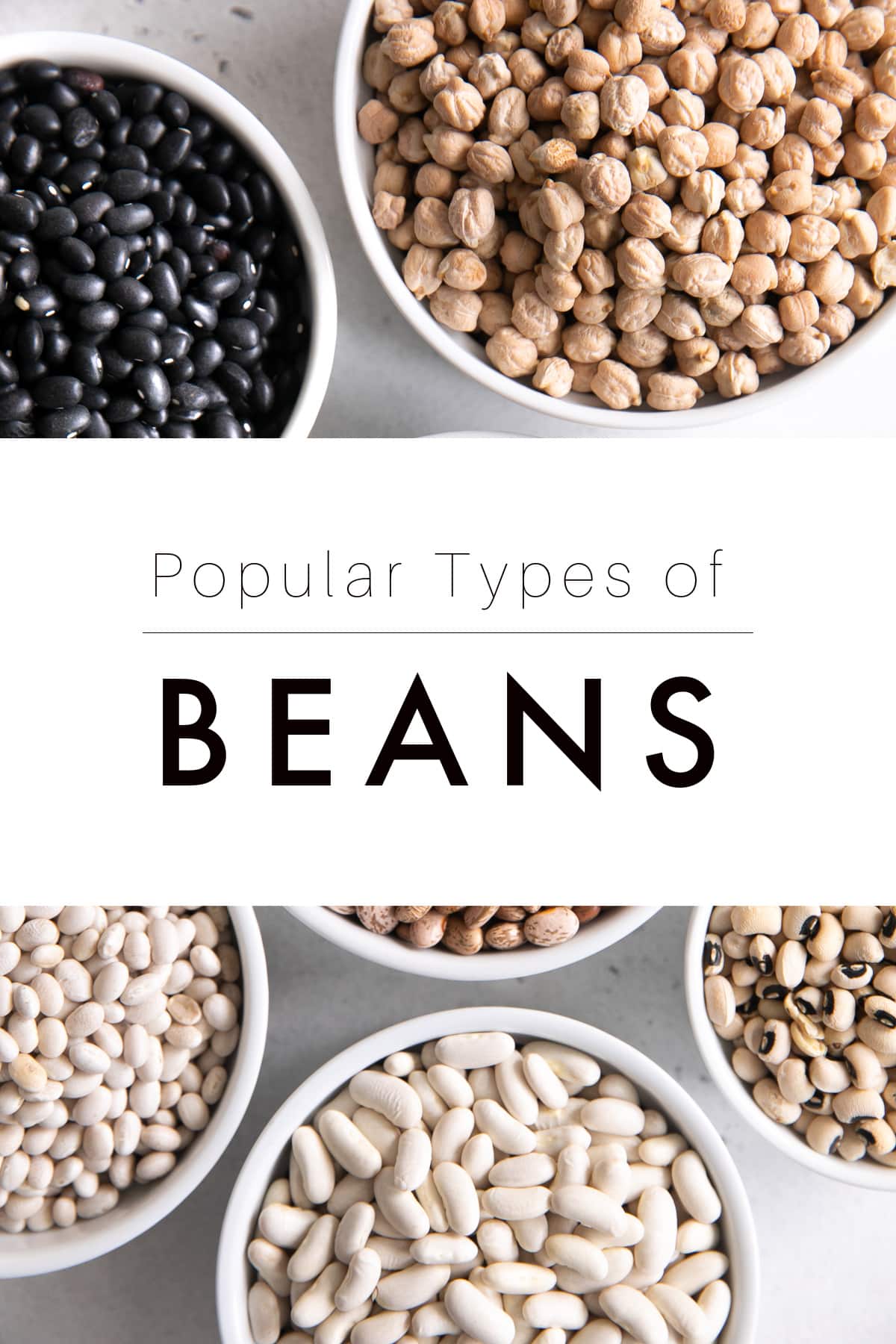 15 Different Types of Beans with Pictures