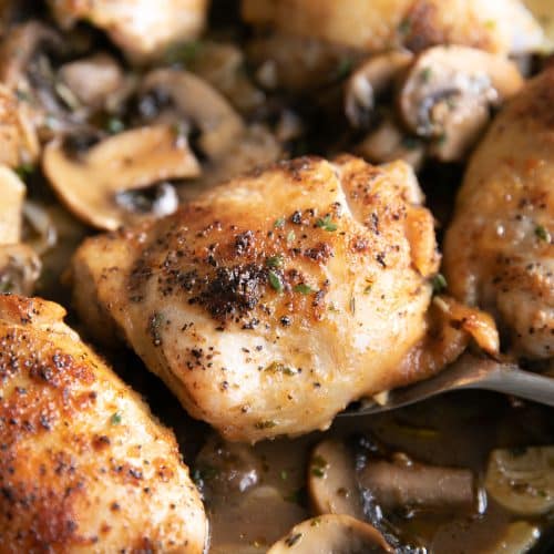 Perfectly braised golden brown chicken thigh with crispy skin in a cast iron skillet surrounded by juicy plump cooked mushrooms, sliced garlic, and a white wine sauce.