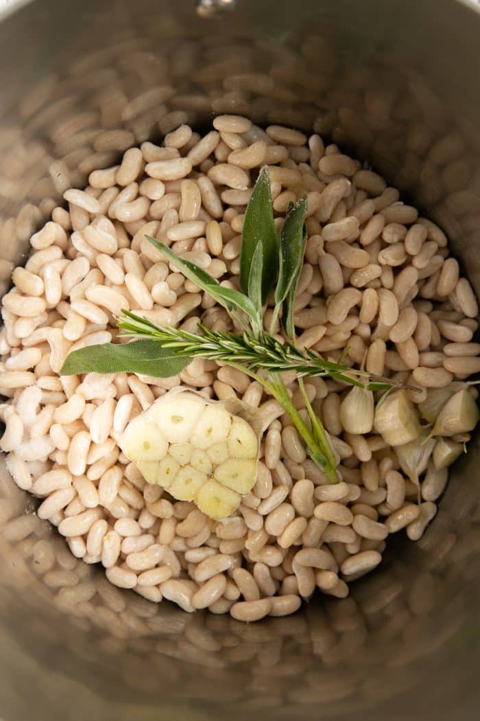 Overhead image of a large pot filled with soaked cannellini beans, sage leaves, rosemary, and whole garlic halved crosswise.