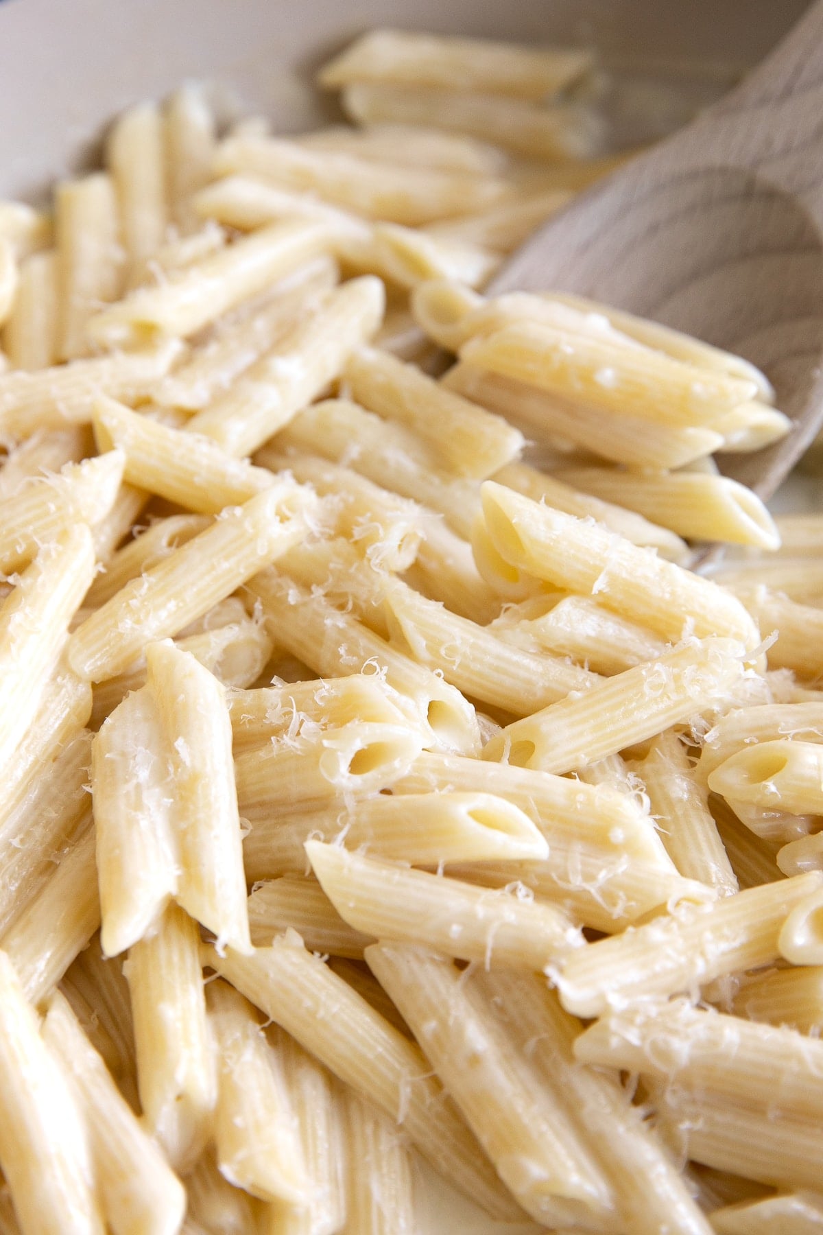 Penne pasta tossed in a homemade cream sauce with parmesan cheese and lemon zest.