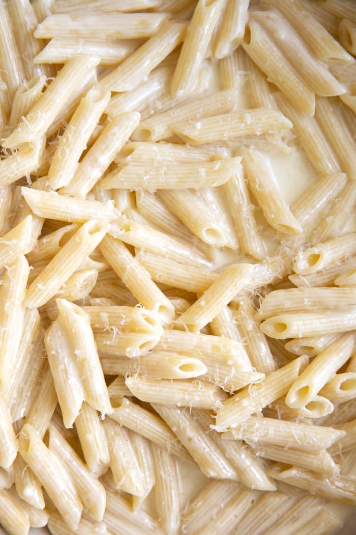 Close up image of a pan filled with penne pasta tossed in a homemade cream sauce.