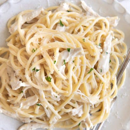 White serving plate filled with a single serving of cooked spaghetti noodles and shredded chicken breast that has been mixed in a creamy lemon, garlic, and parmesan cream sauce.