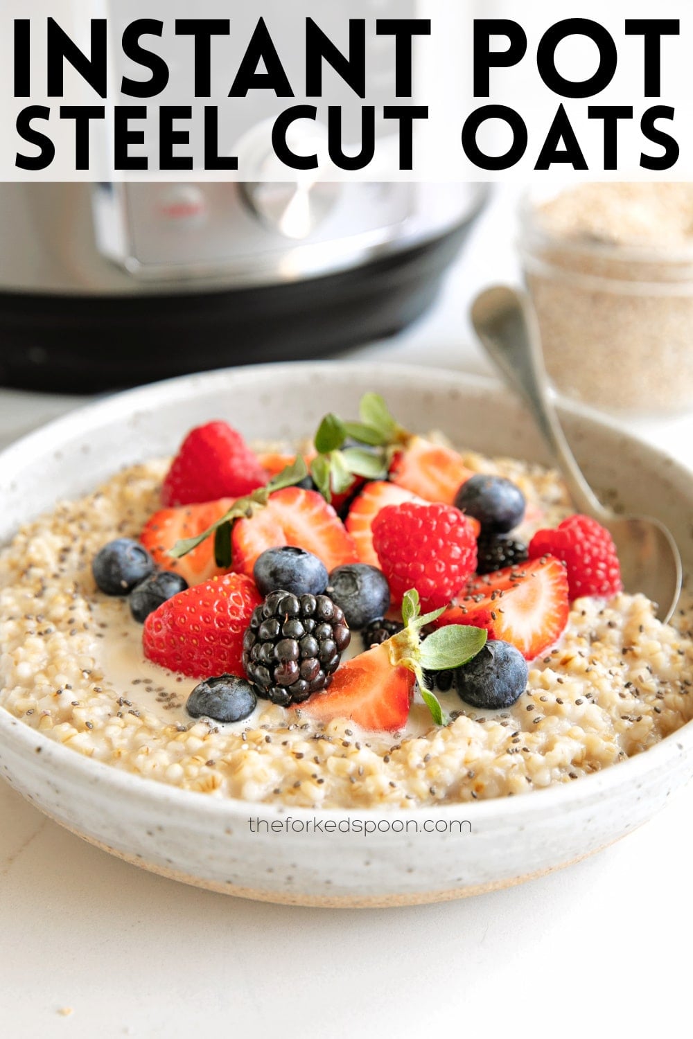 instant-pot-steel-cut-oats-the-forked-spoon