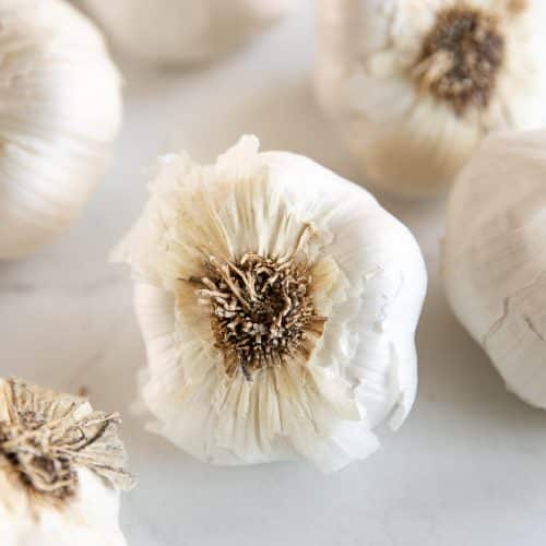 Close up image of one whole garlic bulb surrounded by additional bulbs of garlic in the foreground and background.