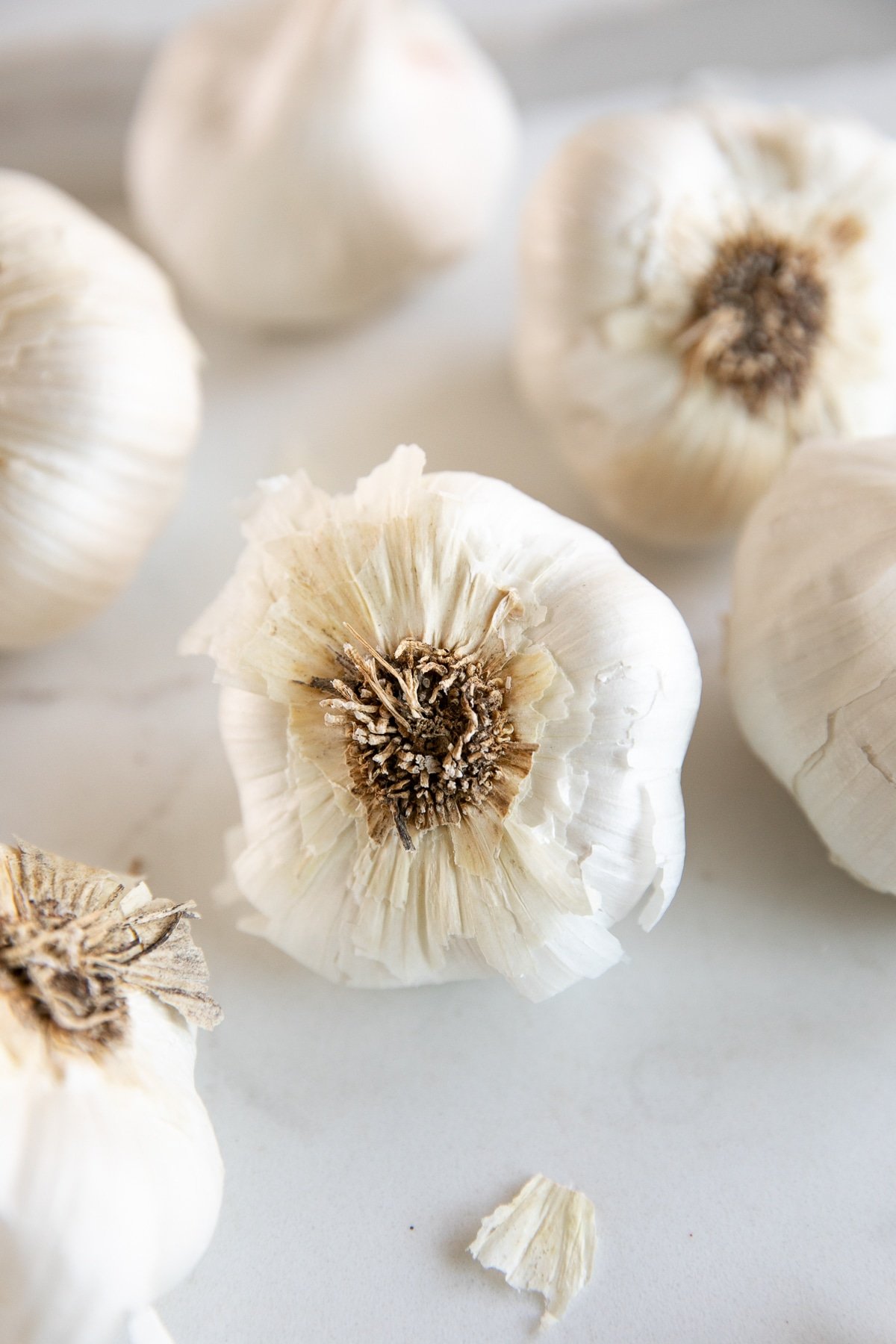 Close up image of one whole garlic bulb surrounded by additional bulbs of garlic in the foreground and background.