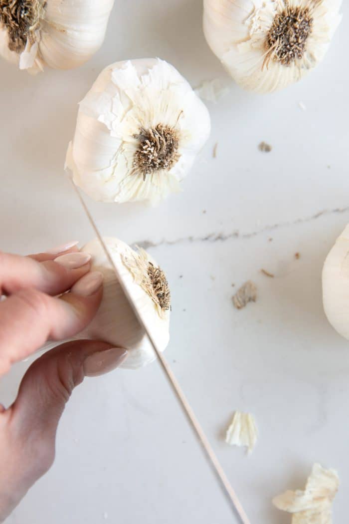 Large knife cutting the root end from a large bulb of garlic.