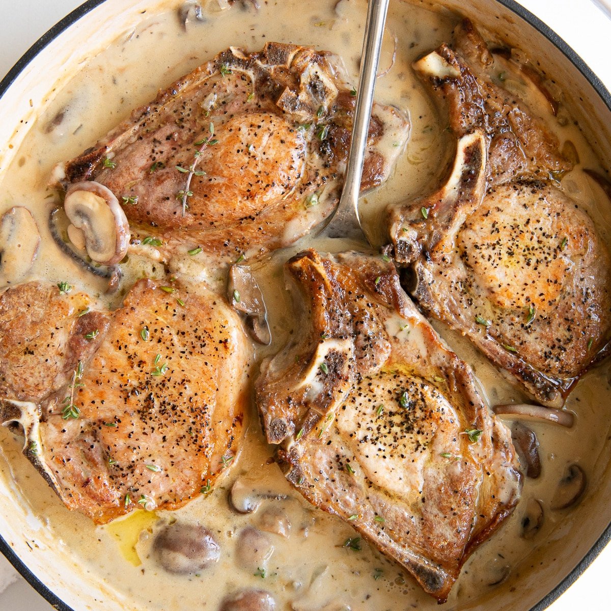 Image of a white ceramic pan filled with cooked bone-in pork chops simmering in creamy mushroom sauce.