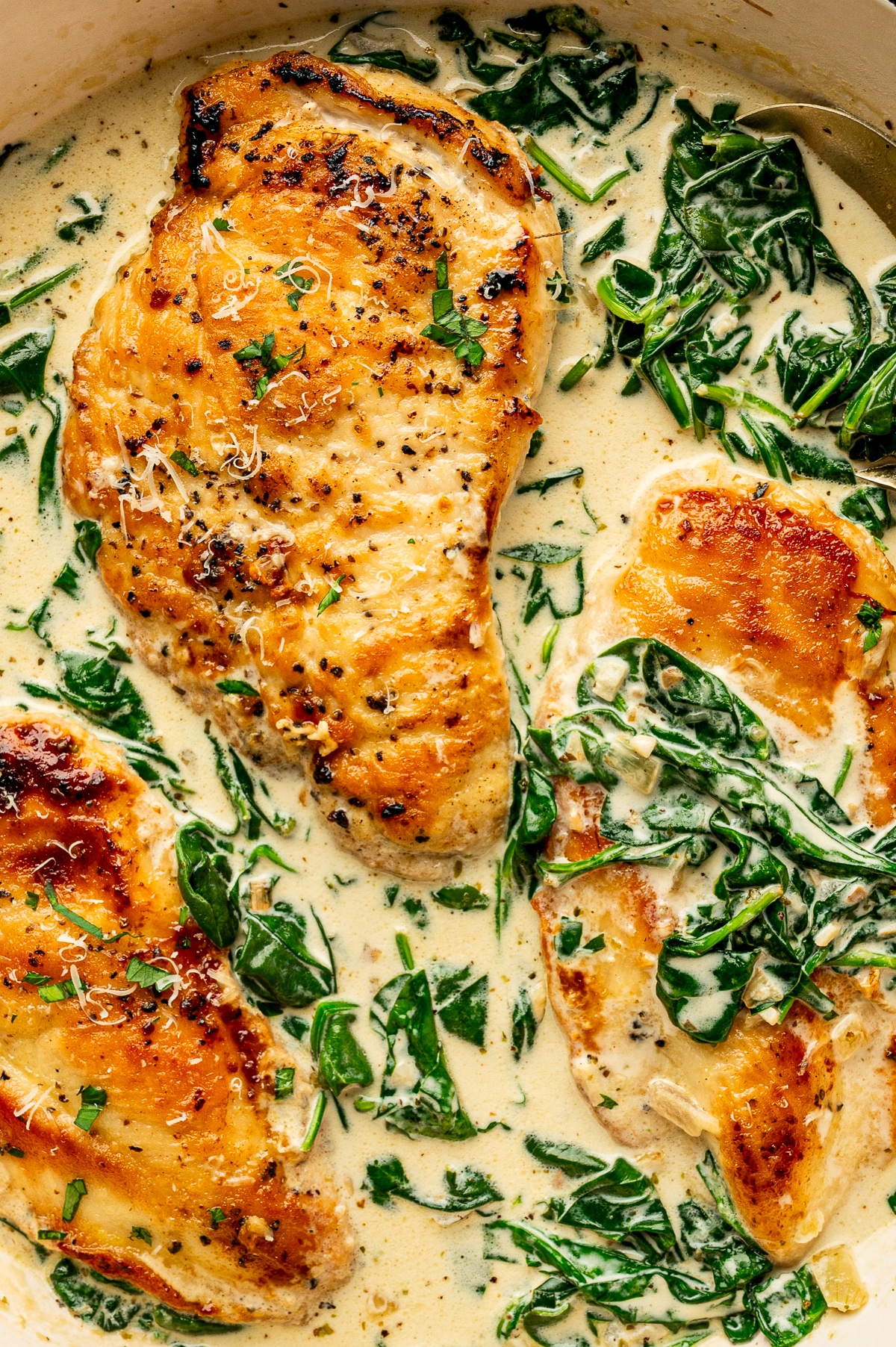 Overhead close-up of Chicken Florentine in a cream-colored skillet with a dark rim, showing several golden pan-seared chicken cutlets surrounded by a pale parmesan cream sauce with wilted baby spinach. One large chicken cutlet is centered, and a metal spoon is partially visible along the right edge of the skillet. The chicken is lightly garnished with chopped parsley and grated parmesan.