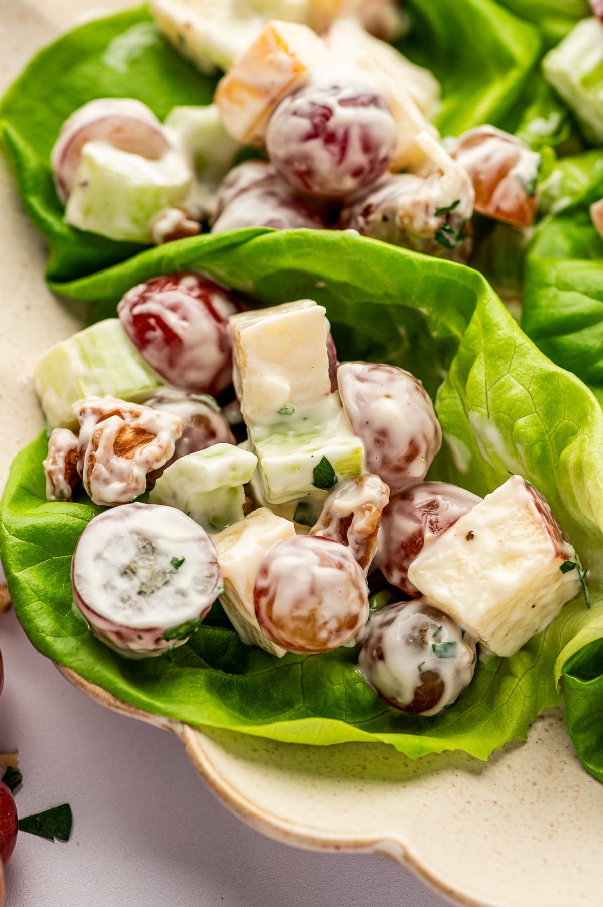 Close-up of Waldorf salad served in a bright green butter lettuce leaf inside a light beige dish, with creamy grapes, chopped apples, celery, and walnut pieces coated in dressing and sprinkled with chopped parsley.