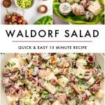 Vertical Pinterest graphic for Waldorf salad on a light gray background with a collage of three food images. The top left image shows Waldorf salad ingredients arranged on a white marble surface, including apples, mayonnaise, celery, walnuts, pepper, grapes, salt, and lettuce. The top right image shows creamy Waldorf salad served in a bright green lettuce leaf. The bottom image shows a light beige bowl filled with creamy Waldorf salad made with chopped apples, red grapes, celery, and walnuts, garnished with chopped green parsley. Large black text in the center reads โWALDORF SALADโ with smaller black text below reading โQUICK & EASY 15 MINUTE RECIPE,โ separated by a muted pink line. Small black text at the bottom reads โtheforkedspoon.com.โ