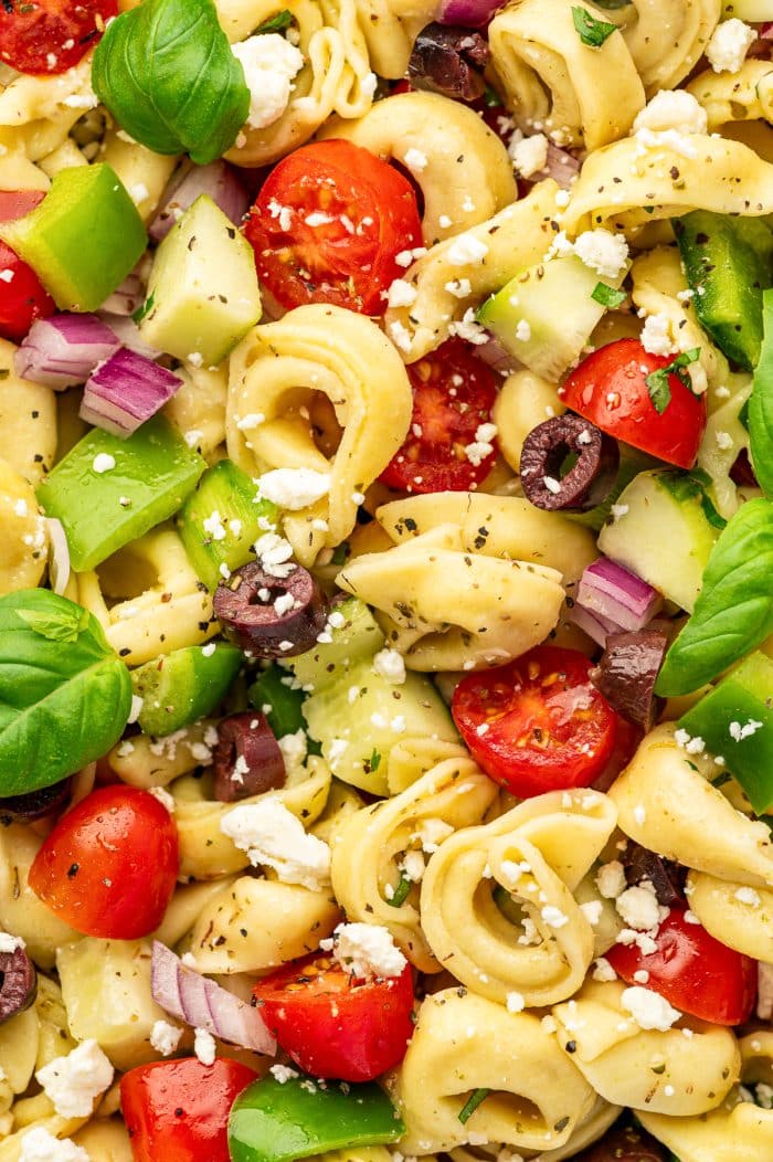 Close-up image of tortellini pasta salad with cheese tortellini, halved cherry tomatoes, chopped cucumber, green bell pepper, diced red onion, sliced kalamata olives, crumbled feta cheese, black pepper, and fresh basil leaves. The salad is coated in a light lemon garlic Italian dressing.
