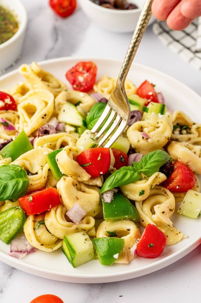Close-up image of tortellini pasta salad on a white plate as a fork lifts a bite with cheese tortellini, cucumber, cherry tomato, green bell pepper, red onion, kalamata olives, crumbled feta, and fresh basil. A small bowl of dressing and a bowl of kalamata olives are blurred in the background.