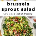 Overhead collage showing fresh ingredients, lemon shallot vinaigrette, and a large platter of shaved Brussels sprout salad with pomegranate and pecans