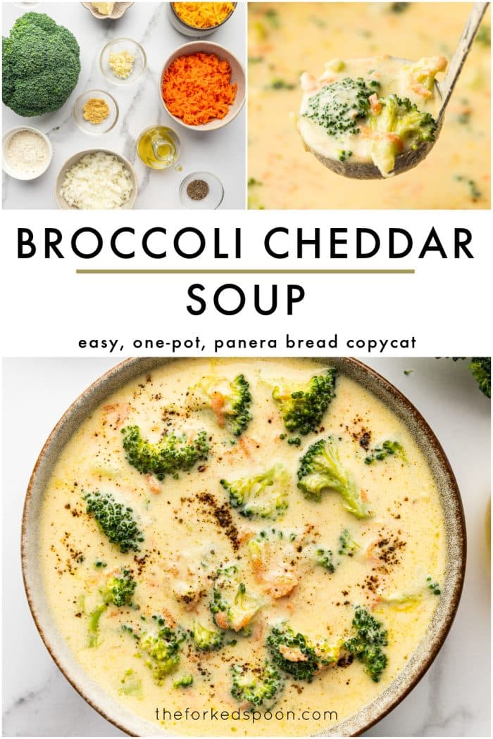 Pinterest pin featuring a close up overhead bowl of creamy broccoli cheddar soup with bright green broccoli florets, small carrot bits, and cracked black pepper on top, with a white text box in the upper left that reads “BROCCOLI CHEDDAR SOUP” and “one-pot, 30 minutes,” and “the forked spoon” text at the bottom.