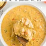 Rotel Dip Recipe Pinterest Pin Image