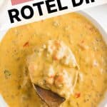 Rotel Dip Recipe Pinterest Pin Image