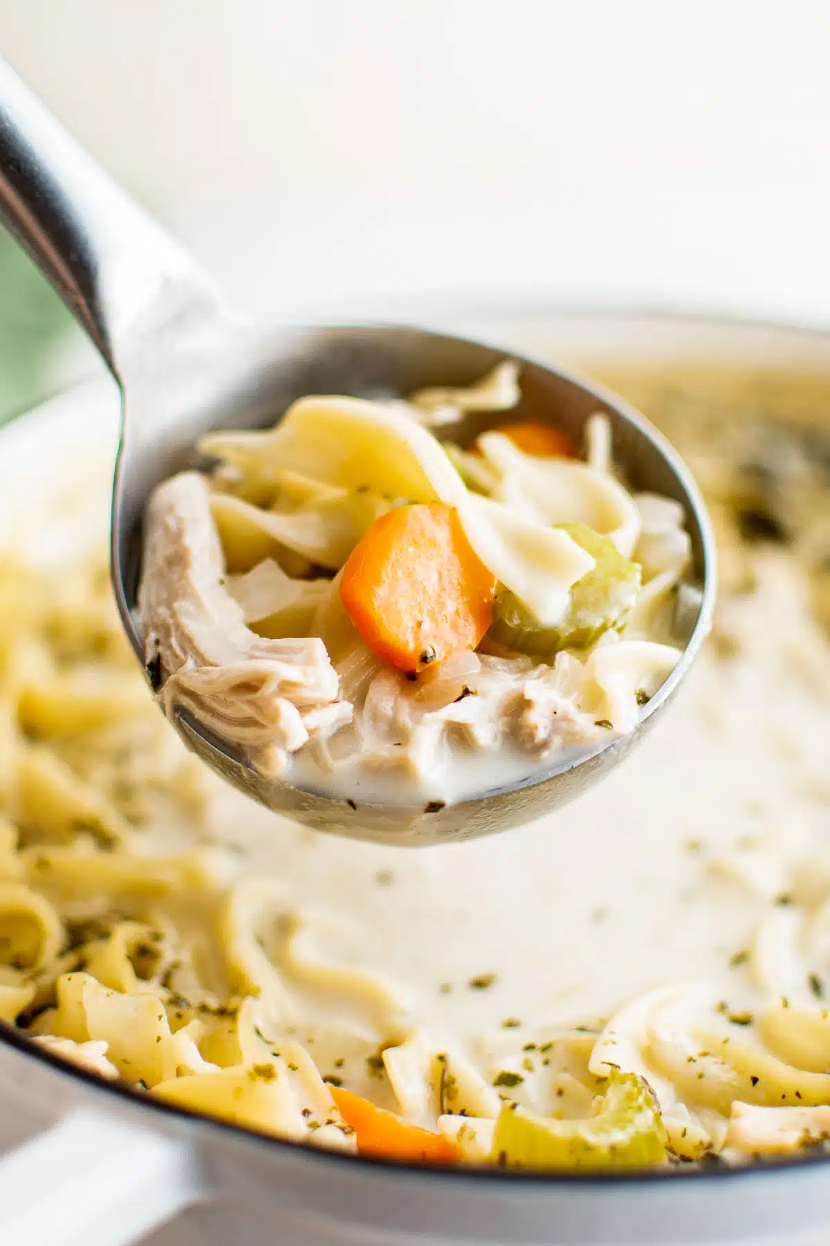 Soup ladle filled with creamy chicken noodle soup over a pot filled with creamy chicken noodle soup.