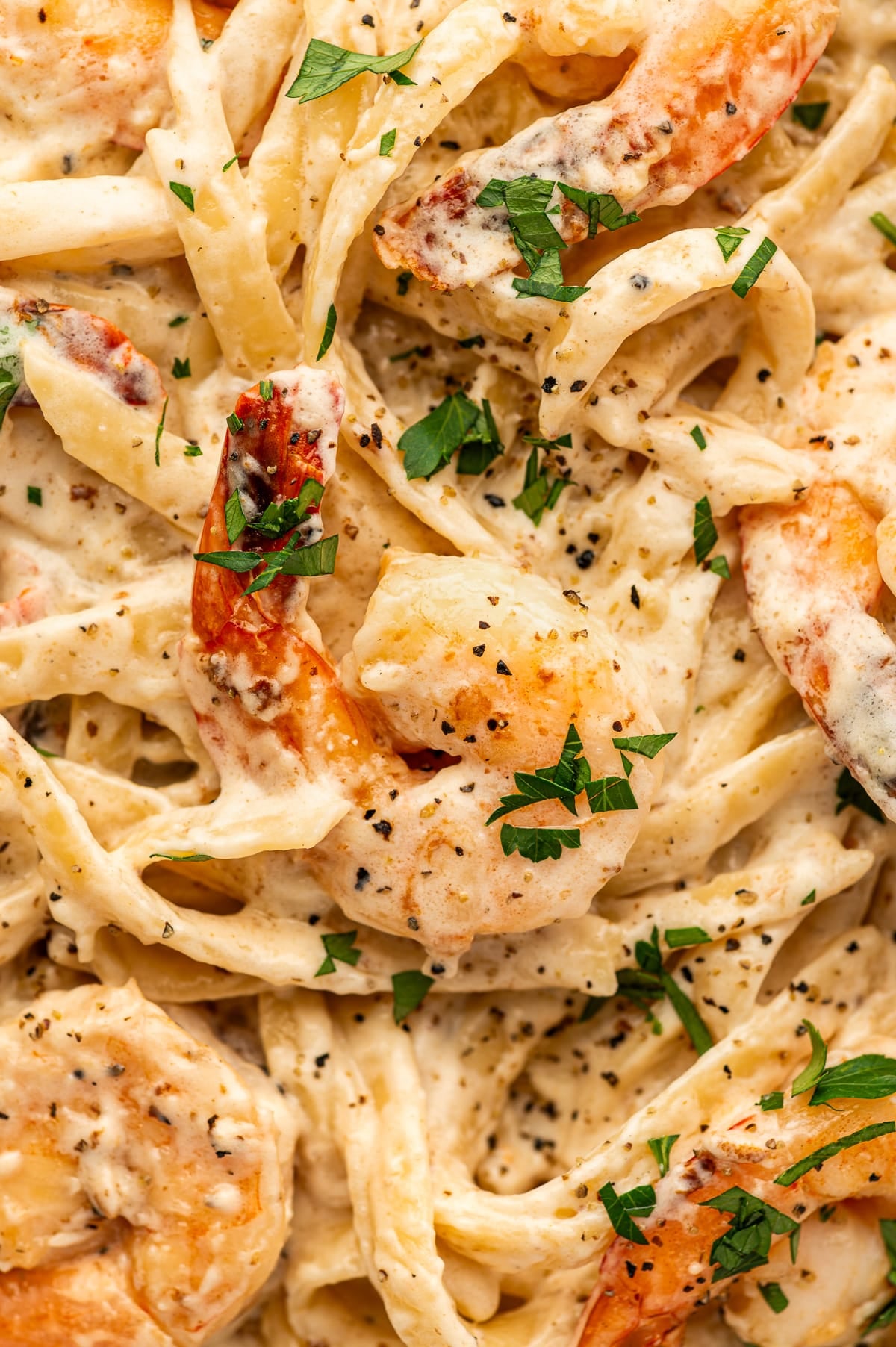 Very close overhead detail of Shrimp Alfredo with fettuccine noodles coated in creamy Alfredo sauce and topped with pink-orange shrimp, cracked black pepper, and chopped fresh parsley. Several shrimp tails are visible, and the sauce clings thickly to the pasta.