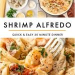 Vertical Pinterest collage for Shrimp Alfredo with three images on a light gray background. The top left photo shows raw Shrimp Alfredo ingredients arranged on a marble surface, and the top right photo shows finished Shrimp Alfredo in a cream-colored skillet garnished with parsley. The bottom image is a close-up of creamy Shrimp Alfredo with shrimp and fettuccine. Bold black text in the center reads SHRIMP ALFREDO, with a gold line underneath and smaller black text reading QUICK & EASY 30 MINUTE DINNER. Theforkedspoon.com appears at the bottom.