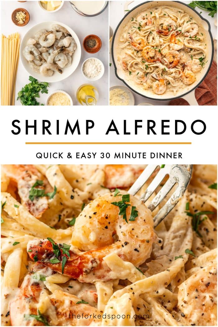Vertical Pinterest collage for Shrimp Alfredo with three images on a light gray background. The top left photo shows raw Shrimp Alfredo ingredients arranged on a marble surface, and the top right photo shows finished Shrimp Alfredo in a cream-colored skillet garnished with parsley. The bottom image is a close-up of creamy Shrimp Alfredo with shrimp and fettuccine. Bold black text in the center reads SHRIMP ALFREDO, with a gold line underneath and smaller black text reading QUICK & EASY 30 MINUTE DINNER. Theforkedspoon.com appears at the bottom.