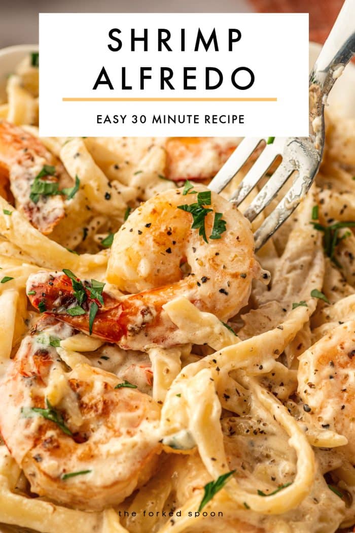 Vertical Pinterest pin for Shrimp Alfredo featuring a close-up photo of creamy fettuccine Alfredo with shrimp, black pepper, chopped parsley, and a silver fork lifting one shrimp. A large white text box at the top reads SHRIMP ALFREDO in black capital letters, with a thin gold line underneath and smaller text reading EASY 30 MINUTE RECIPE. The words the forked spoon appear at the bottom. The shrimp are pink-orange with some tails attached, and the pasta is coated in a thick creamy sauce.