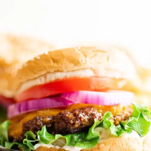 Close up image of a single hamburger patty with cheese on a sesame bun with lettuce, mayo, red onion, and tomato.