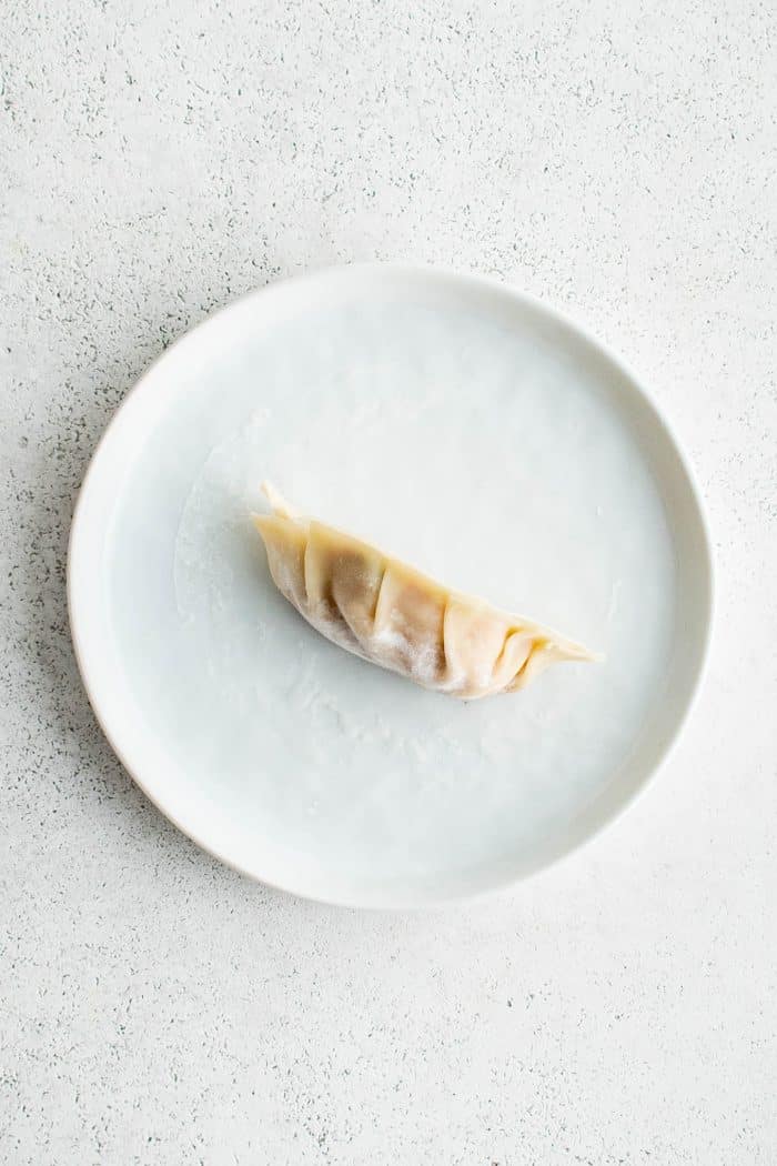 White plate with one folded and pleated pork gyoza.