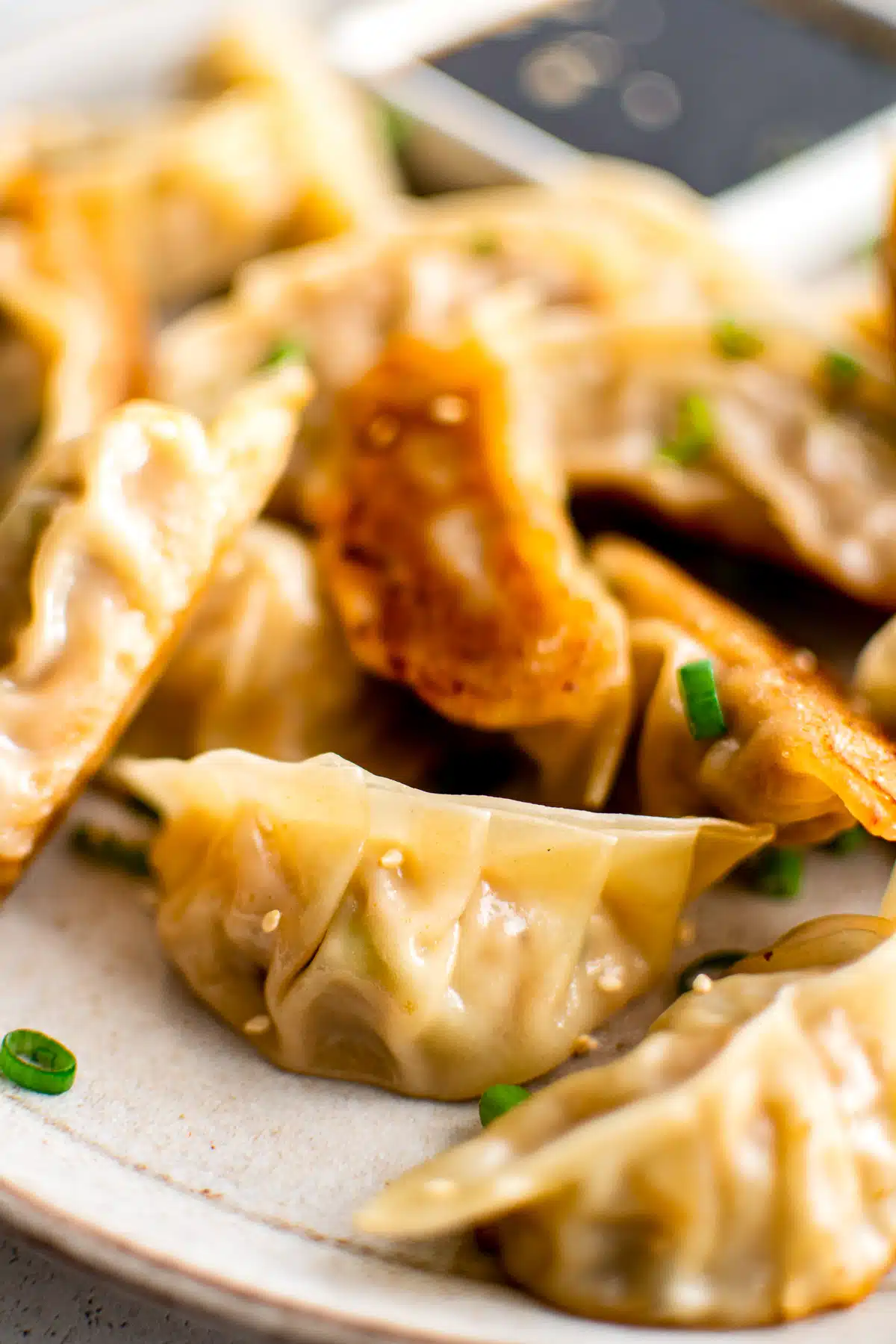 Plate filled with pan-fried pork gyoza garnished with green onions.