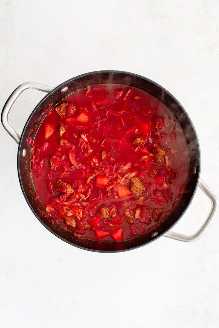 Large pot of homemade traditional Ukrainian borscht soup.