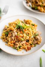 White serving plate with golden brown cooked pork fried rice garnished with green onion.