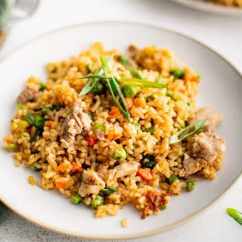 White serving plate with golden brown cooked pork fried rice garnished with green onion.
