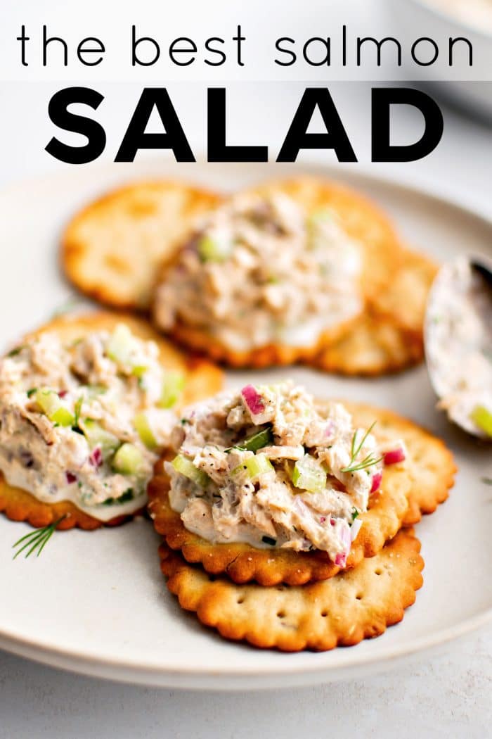 Pinterest Pin for canned salmon salad with one image and text overlay.
