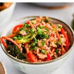Pinterest Pin for ground chicken stir fry Recipe with one image and text overlay.