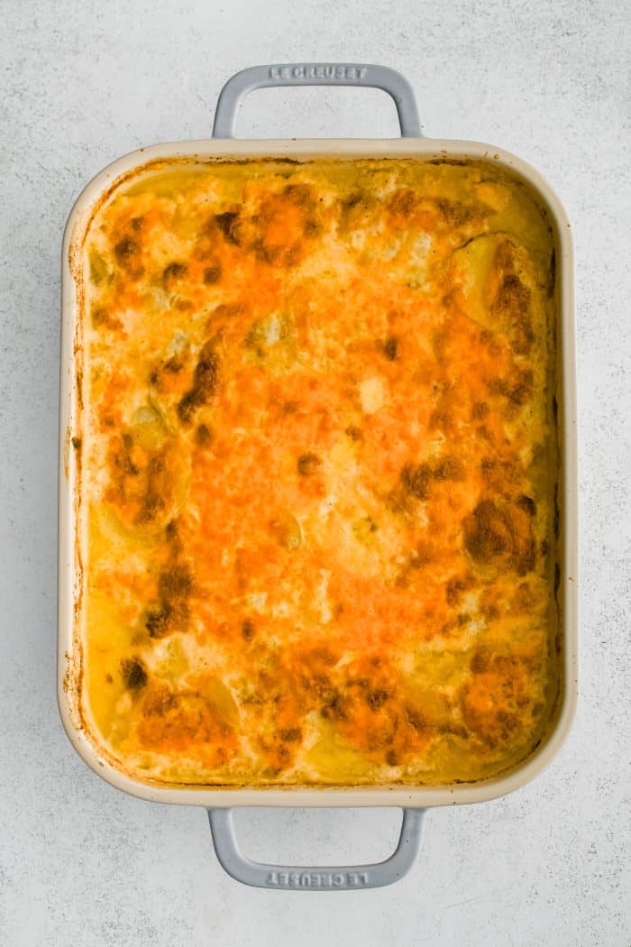 Large 9x13-inch baking dish filled with golden baked cheesy scalloped potatoes.