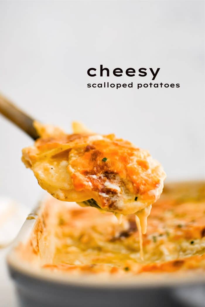 Pinterest Pin image for cheesy scalloped potatoes with one image and text overlay.