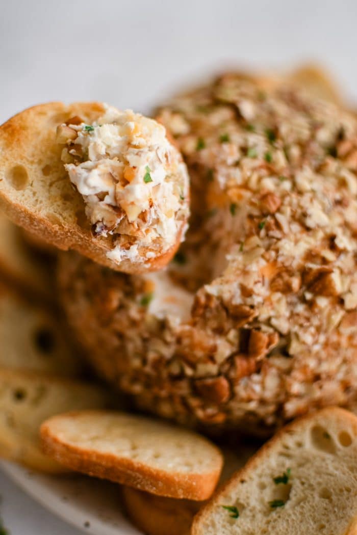 A small crostini spread with classic cheese ball mixture.