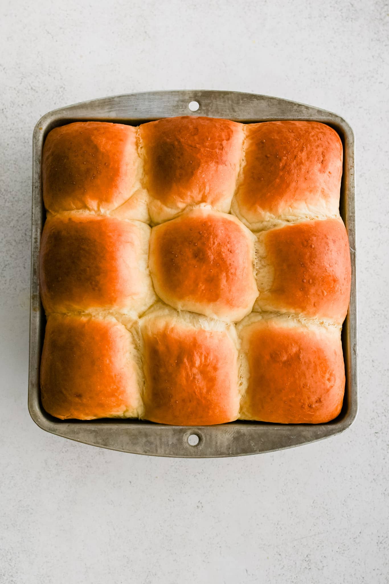 Homemade Dinner Rolls
